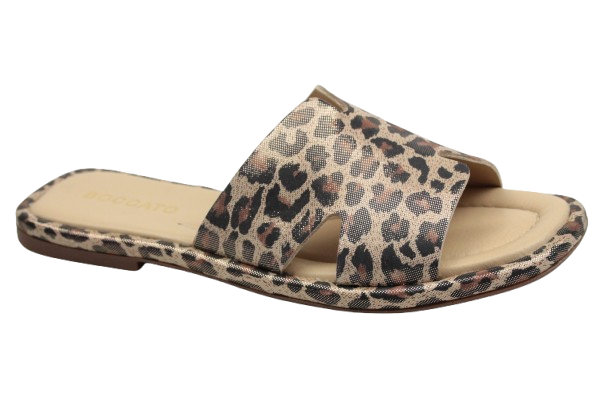 IMG_0518-removebg-preview IMG_0518-removebg-preview