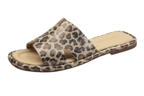 IMG_0520-removebg-preview IMG_0520-removebg-preview