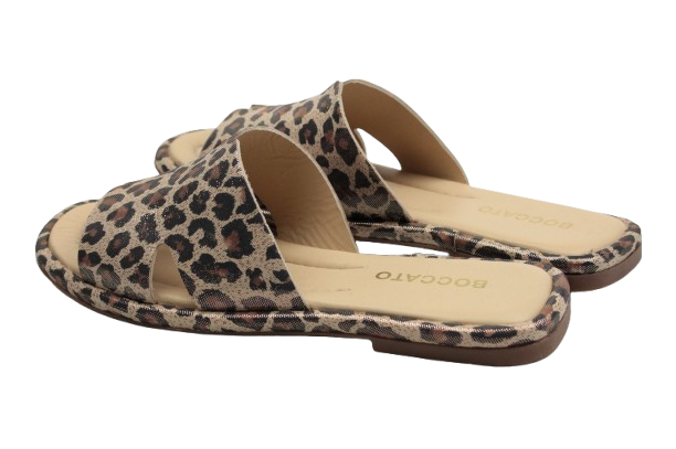 IMG_0521-removebg-preview IMG_0521-removebg-preview