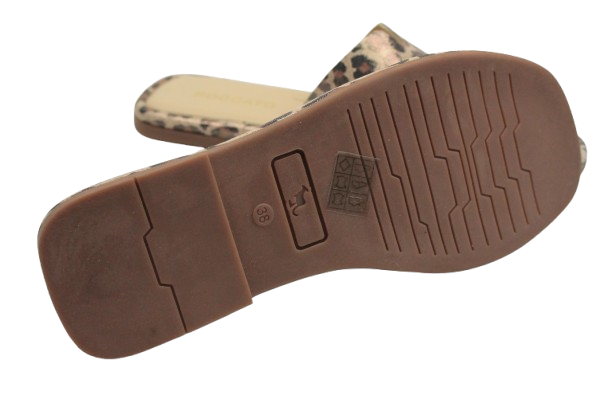 IMG_0523-removebg-preview IMG_0523-removebg-preview