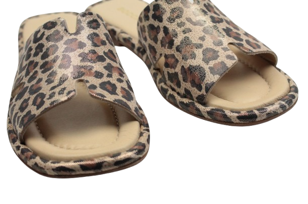 IMG_0524-removebg-preview IMG_0524-removebg-preview