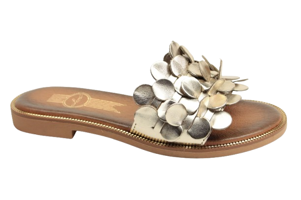 IMG_0684-removebg-preview IMG_0684-removebg-preview