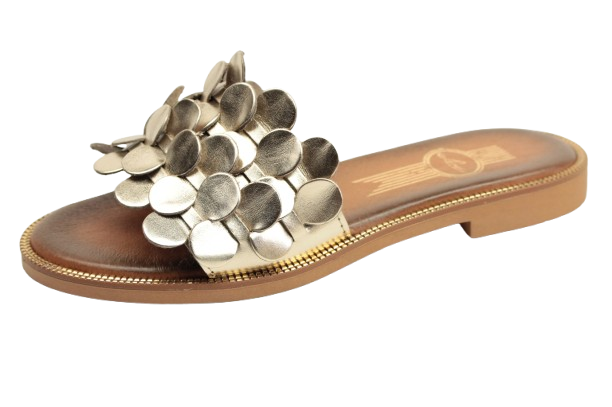 IMG_0686-removebg-preview IMG_0686-removebg-preview