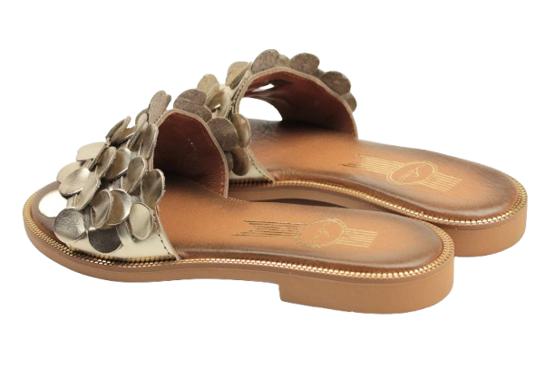 IMG_0687-removebg-preview IMG_0687-removebg-preview