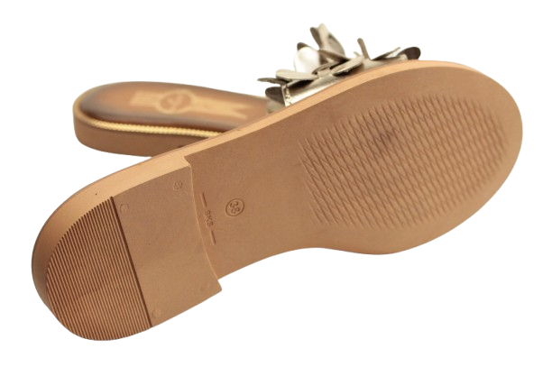 IMG_0689-removebg-preview IMG_0689-removebg-preview