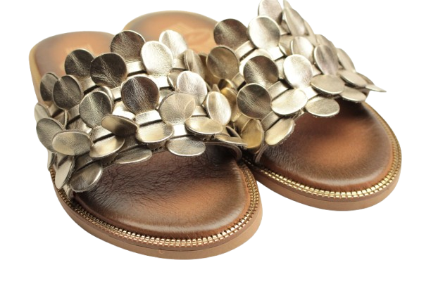 IMG_0690-removebg-preview IMG_0690-removebg-preview