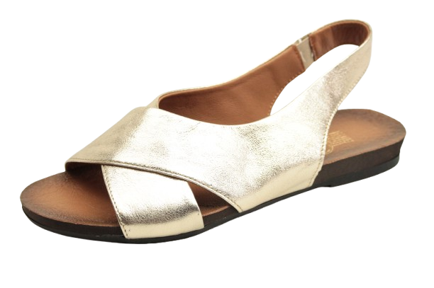 IMG_0693-removebg-preview