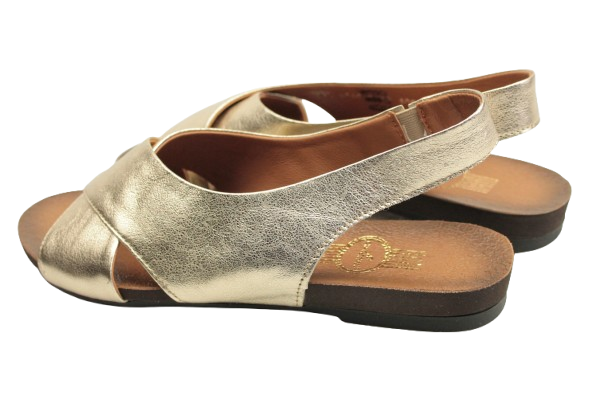 IMG_0694-removebg-preview