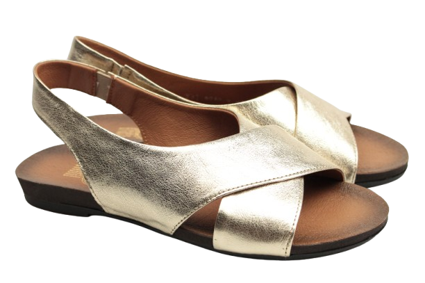 IMG_0695-removebg-preview