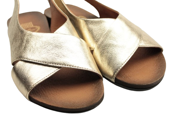 IMG_0697-removebg-preview