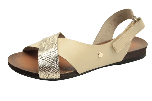 IMG_0713-removebg-preview