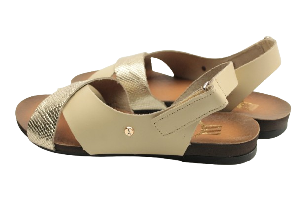 IMG_0714-removebg-preview