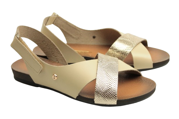 IMG_0715-removebg-preview