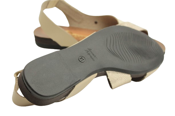 IMG_0716-removebg-preview