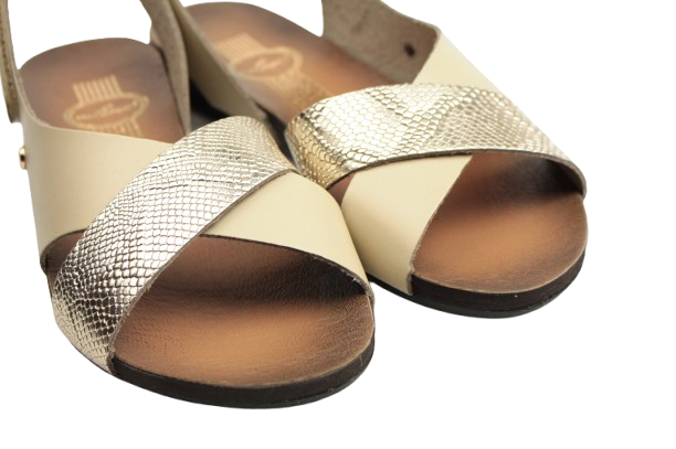 IMG_0717-removebg-preview