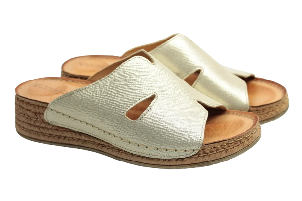 IMG_0729-removebg-preview