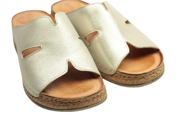 IMG_0731-removebg-preview