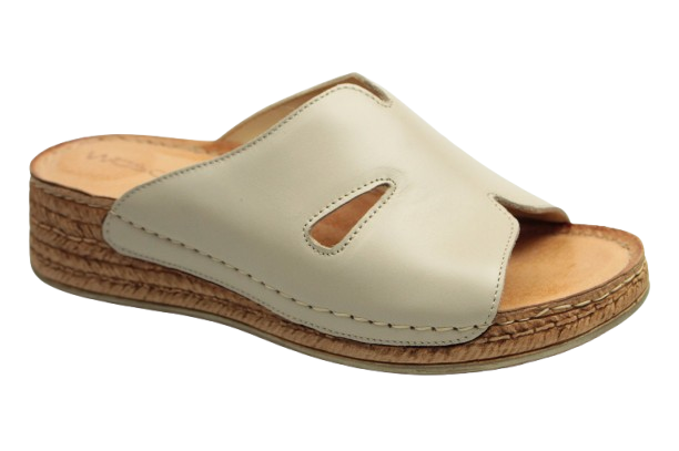 IMG_0732-removebg-preview IMG_0732-removebg-preview