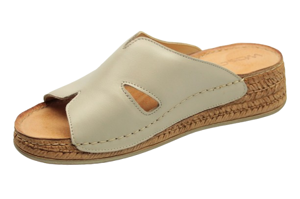 IMG_0733-removebg-preview