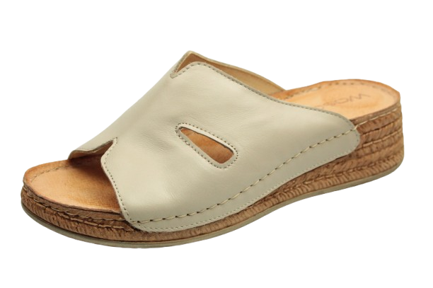 IMG_0734-removebg-preview IMG_0734-removebg-preview