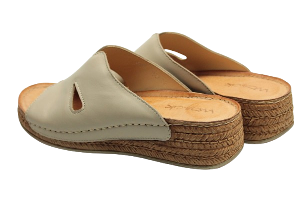 IMG_0735-removebg-preview IMG_0735-removebg-preview