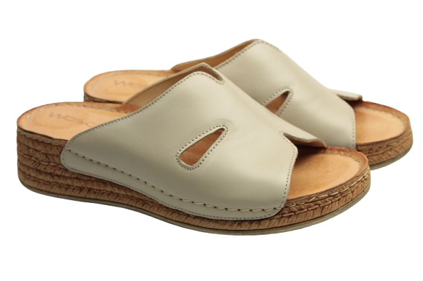 IMG_0736-removebg-preview (1) IMG_0736-removebg-preview (1)