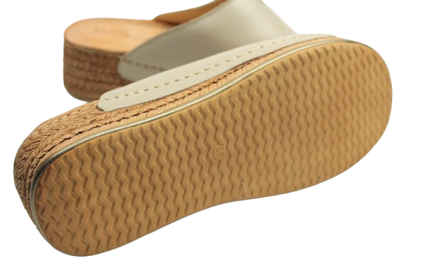 IMG_0737-removebg-preview (2) IMG_0737-removebg-preview (2)