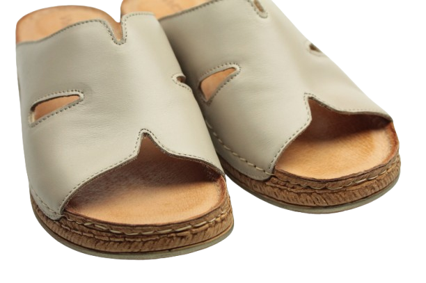 IMG_0738-removebg-preview IMG_0738-removebg-preview