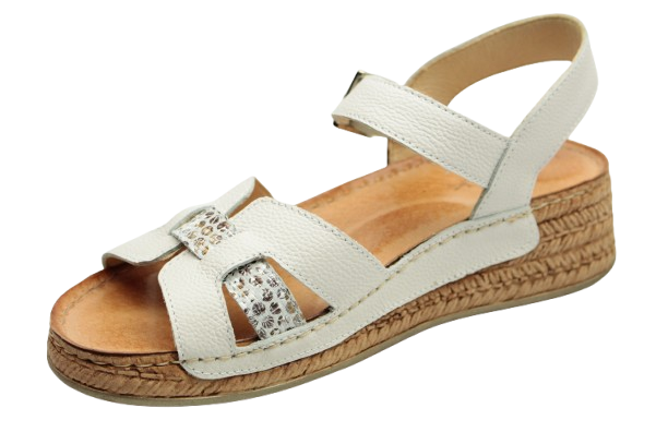 IMG_0740-removebg-preview