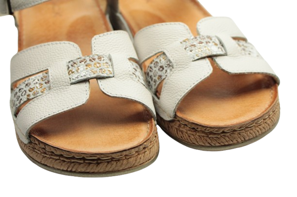 IMG_0743-removebg-preview