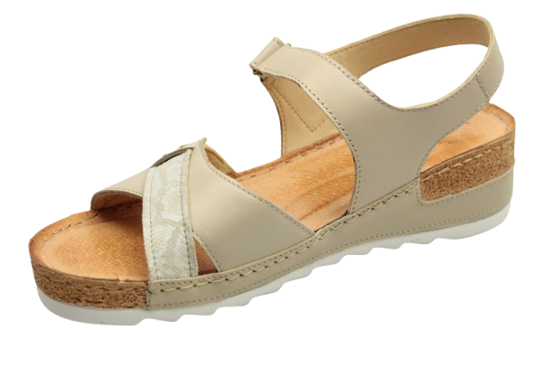 IMG_0745-removebg-preview (1)