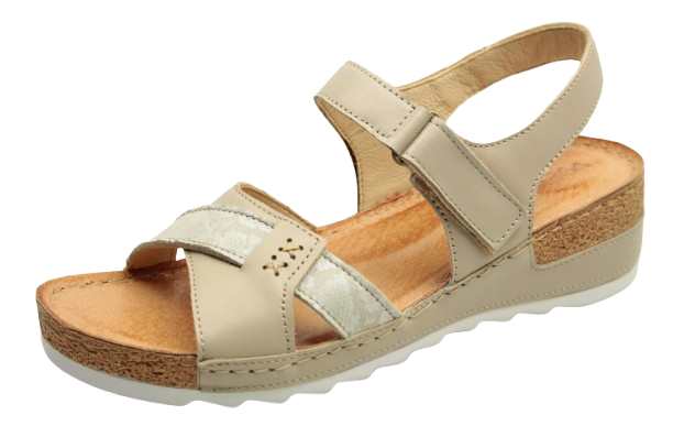 IMG_0746-removebg-preview