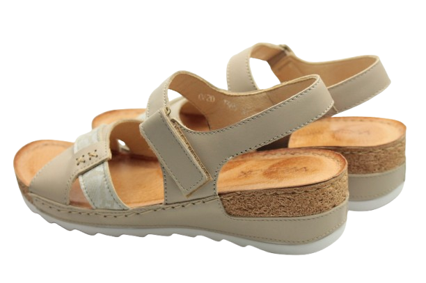 IMG_0747-removebg-preview