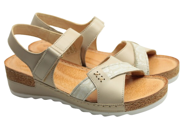 IMG_0748-removebg-preview