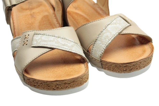 IMG_0750-removebg-preview