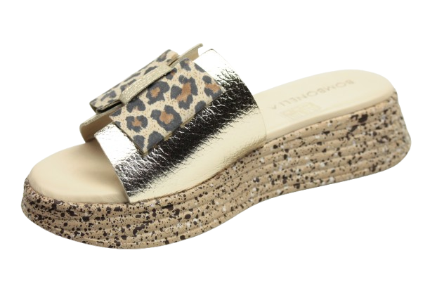 IMG_0752-removebg-preview