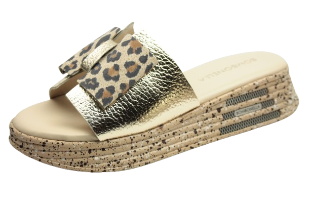 IMG_0753-removebg-preview (1)