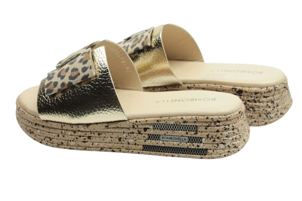 IMG_0754-removebg-preview