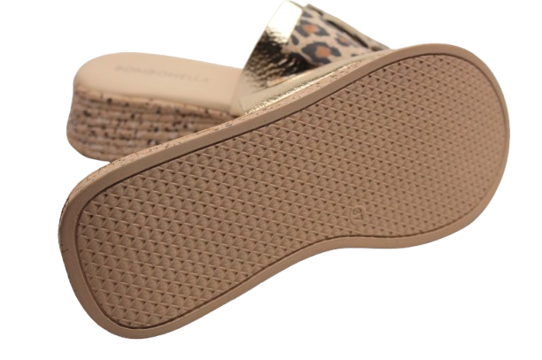 IMG_0756-removebg-preview (1)