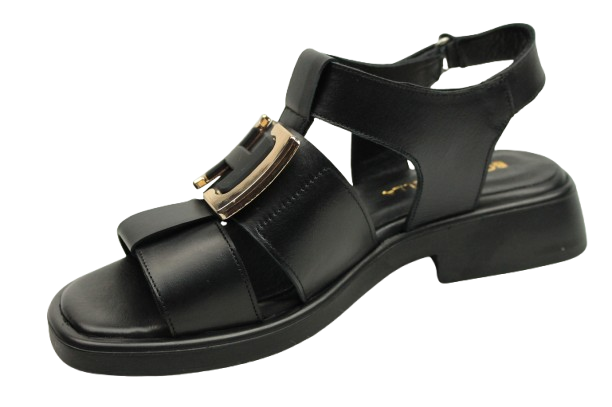 IMG_0766-removebg-preview