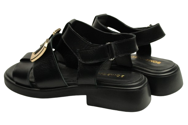 IMG_0768-removebg-preview