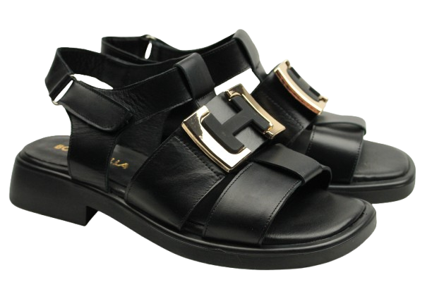 IMG_0769-removebg-preview