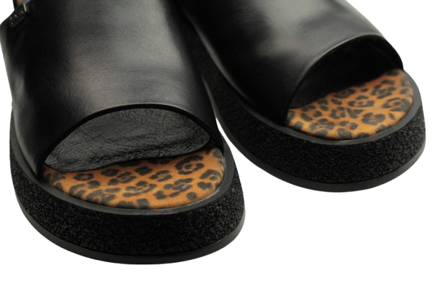 IMG_0778-removebg-preview