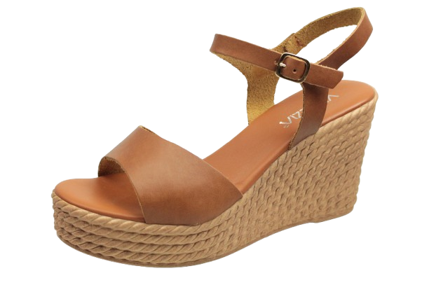 IMG_0808-removebg-preview