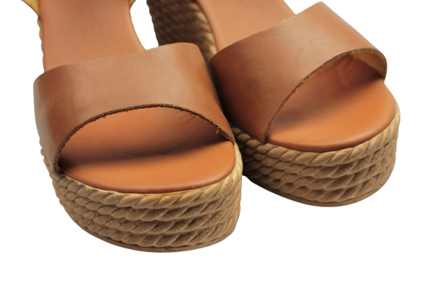 IMG_0812-removebg-preview (1)