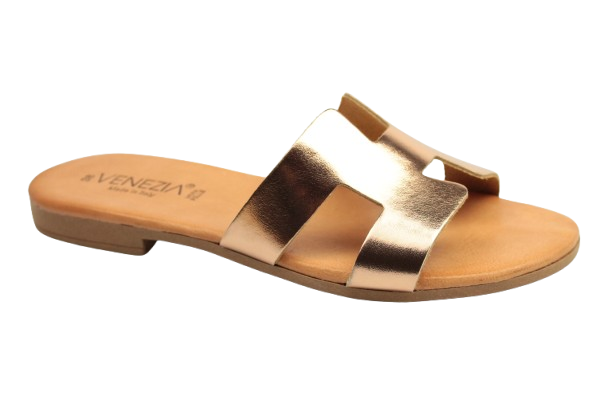 IMG_0813-removebg-preview IMG_0813-removebg-preview