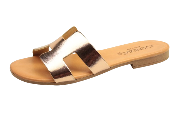 IMG_0815-removebg-preview IMG_0815-removebg-preview