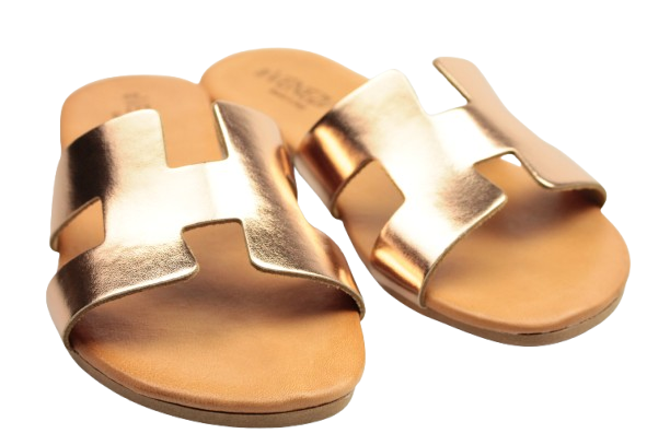 IMG_0819-removebg-preview IMG_0819-removebg-preview