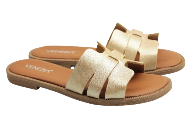 IMG_0831-removebg-preview