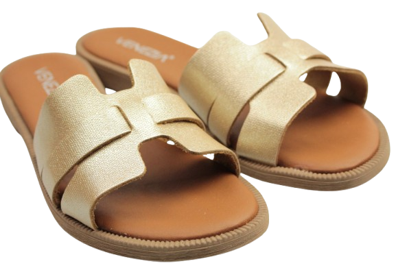 IMG_0833-removebg-preview